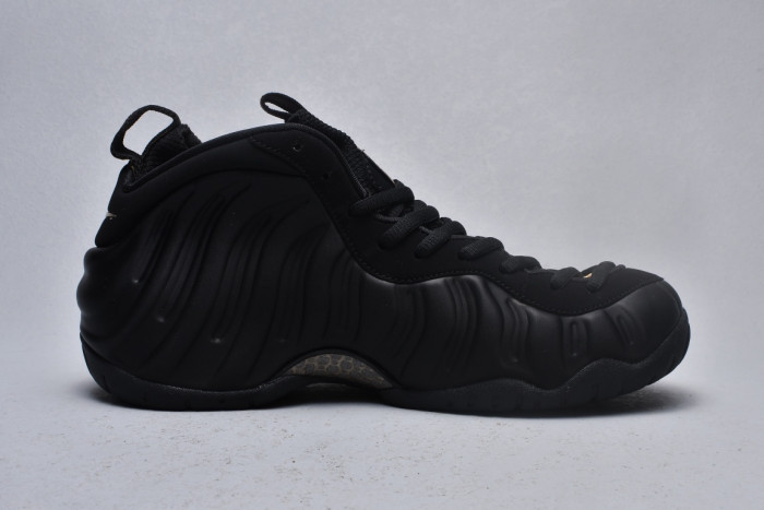 nike air foamposite one authracite black metallic gold 624041-009