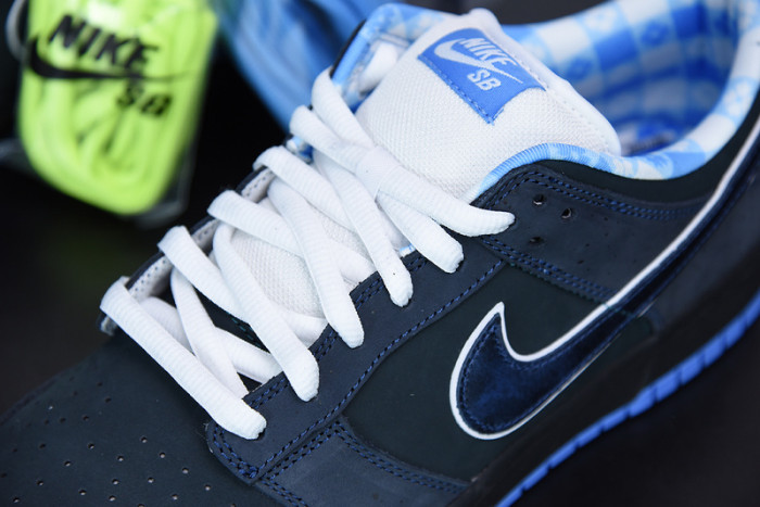 nike dunk sb low concepts blue lobster 313170-342