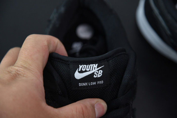 nike dunk low x wasted youth dd8386-001