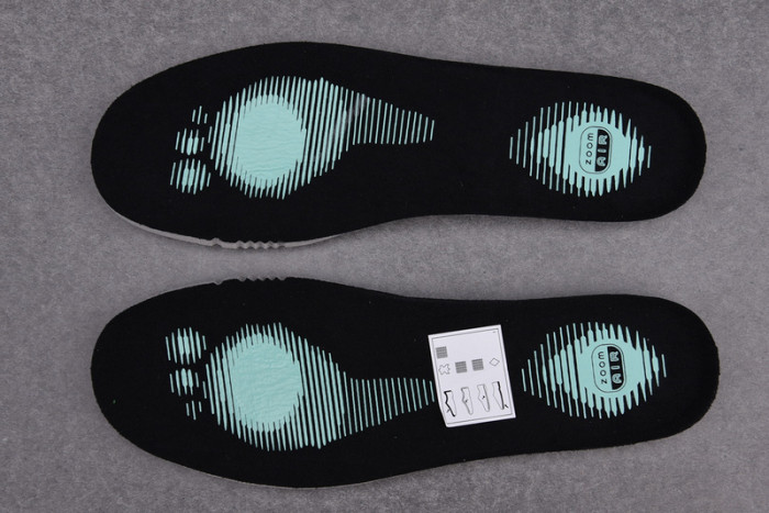 nike dunk low pro qs 304292-402