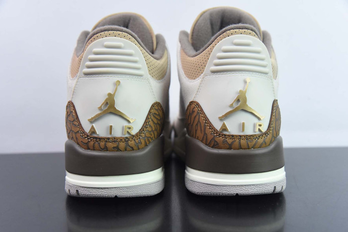 air jordan 3 palomino ct8532-102