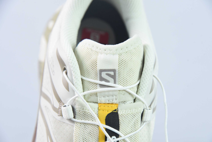 salomon xt-6 turtledove vintage khaki